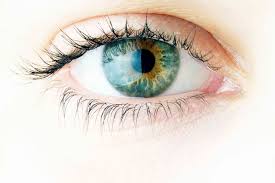 images (3)