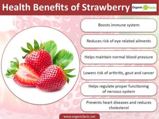 strawberryinfo02