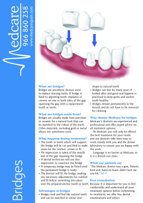 brigdes fact sheet