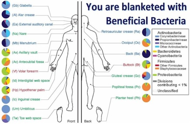 beneficial-bacteria